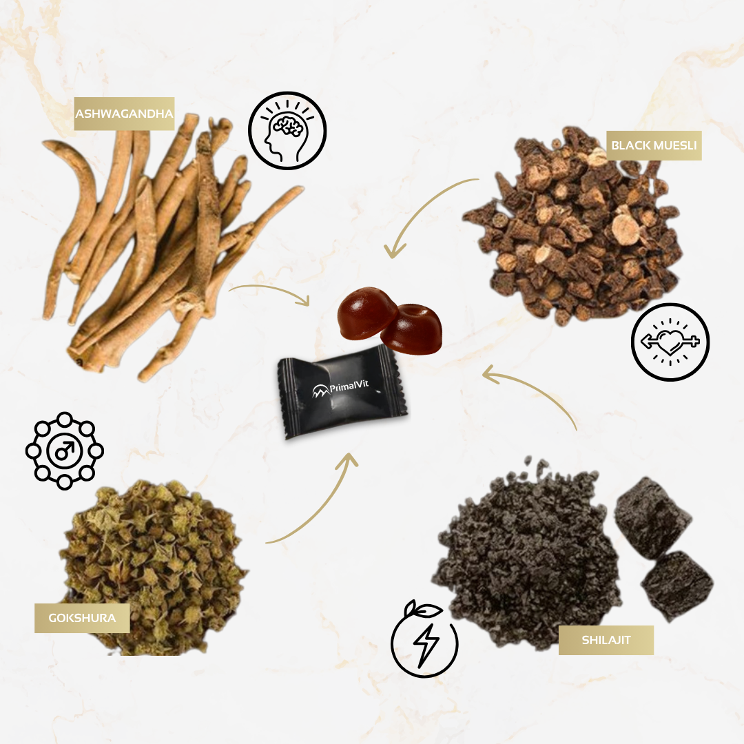 PrimalVit™ Pure Himalayan Shilajit Gummies For Men